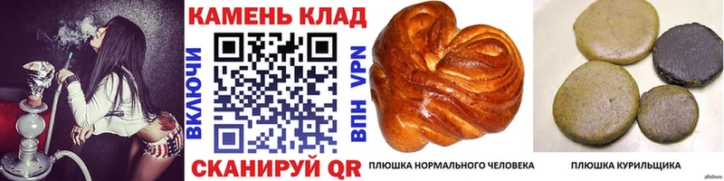 Гашиш индика сатива купить наркотики цена Ивантеевка