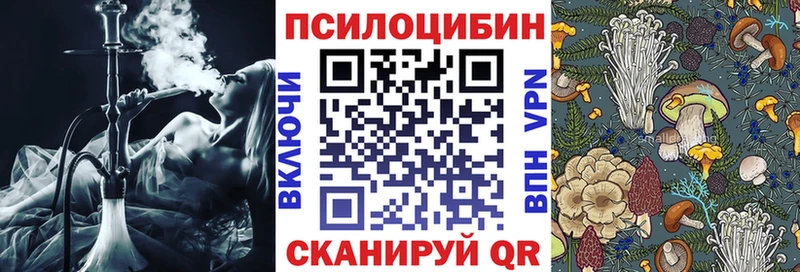 Псилоцибиновые грибы прущие грибы  Ивантеевка 