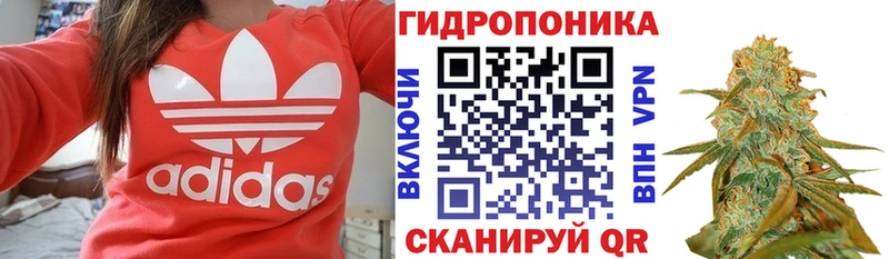 Марихуана семена  hydra   Ивантеевка 